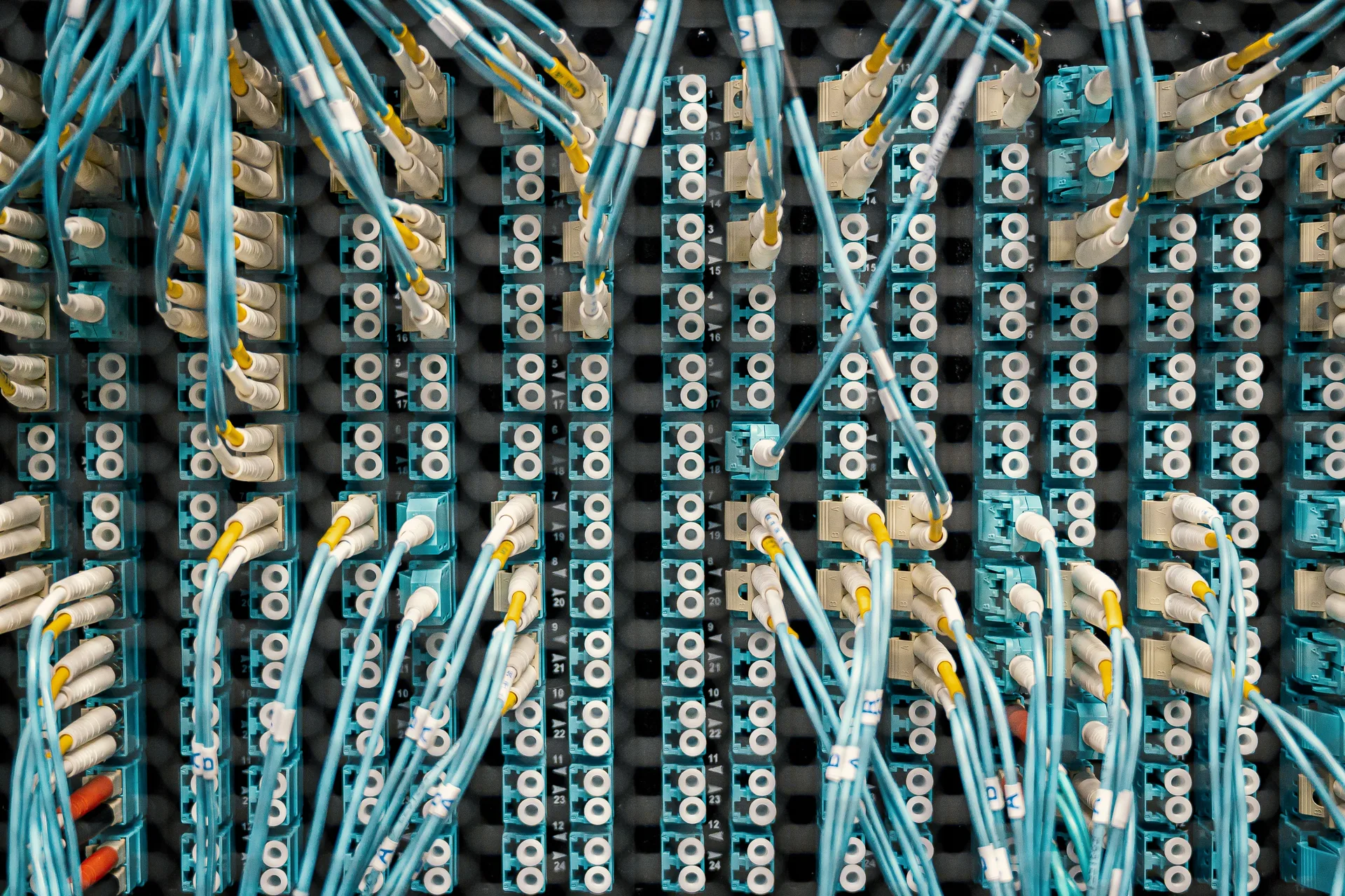 A network patch panel with connected cables
