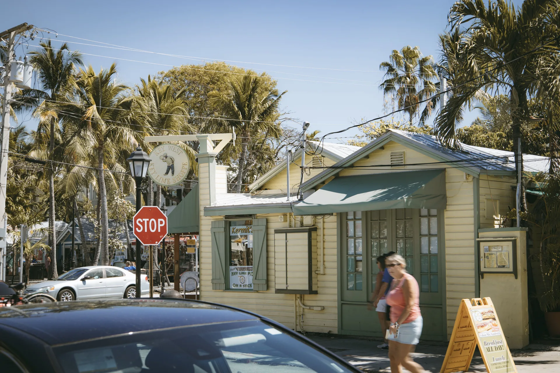 A Florida street with palm trees and shops