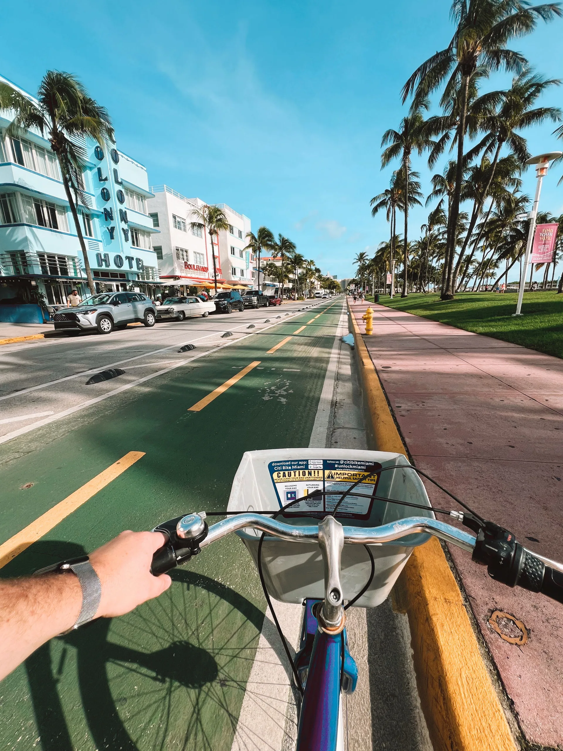 Cyclist on a palm-lined beachside road beside colorful beachfront buildings
