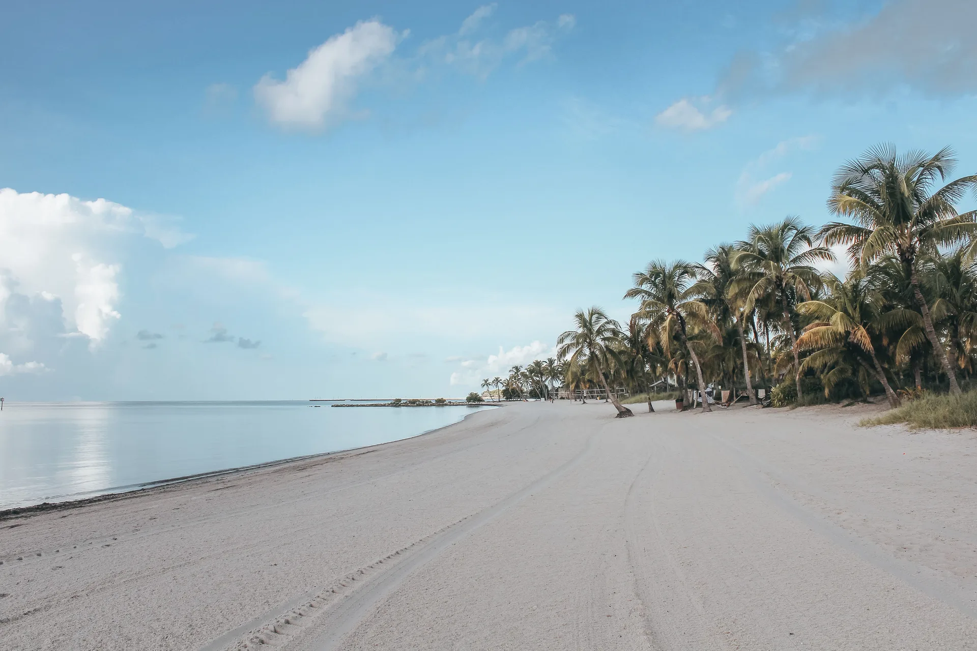 White sandy beach with palm trees under a clear blue sky