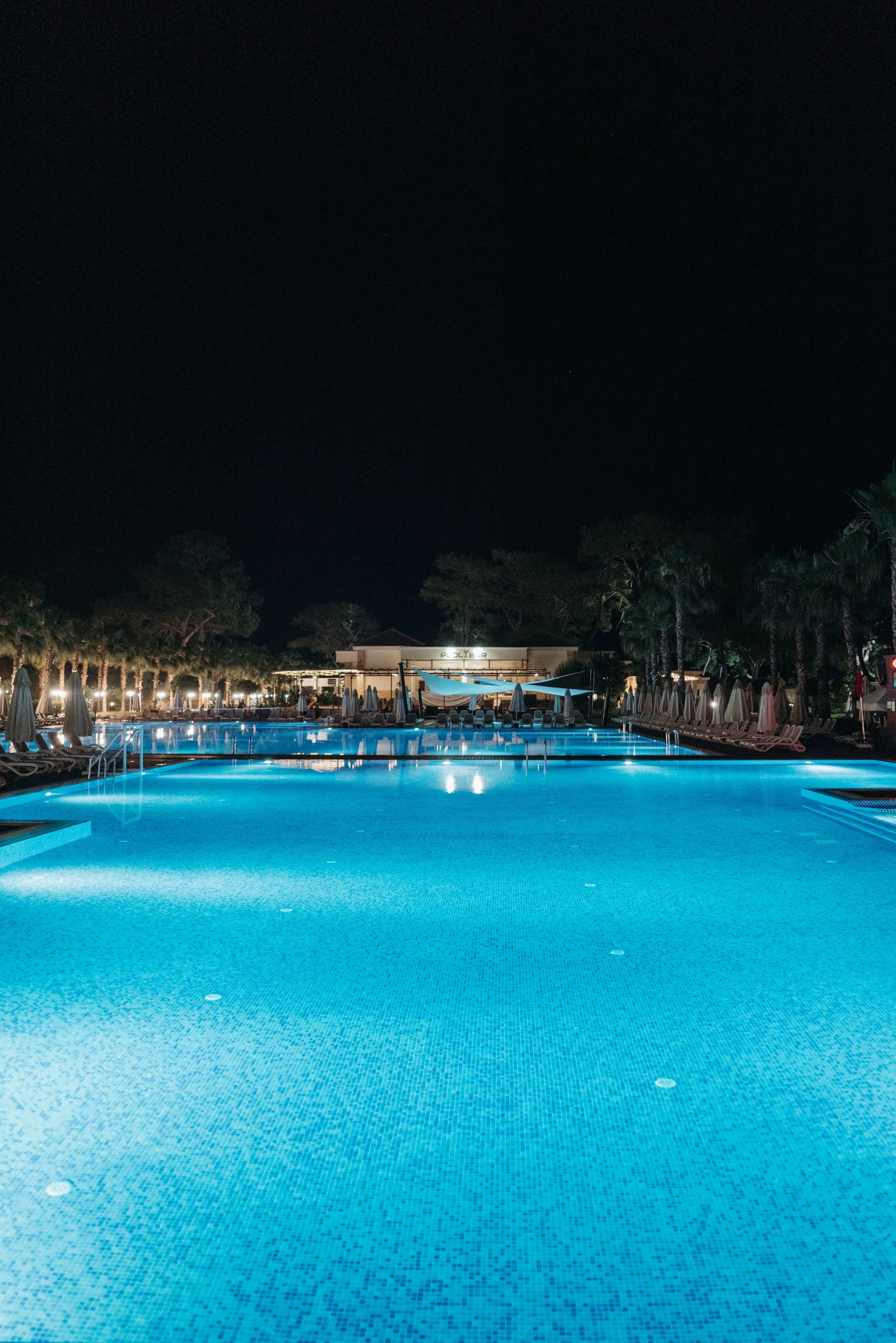 A glowing blue swimming pool surrounded by trees at night