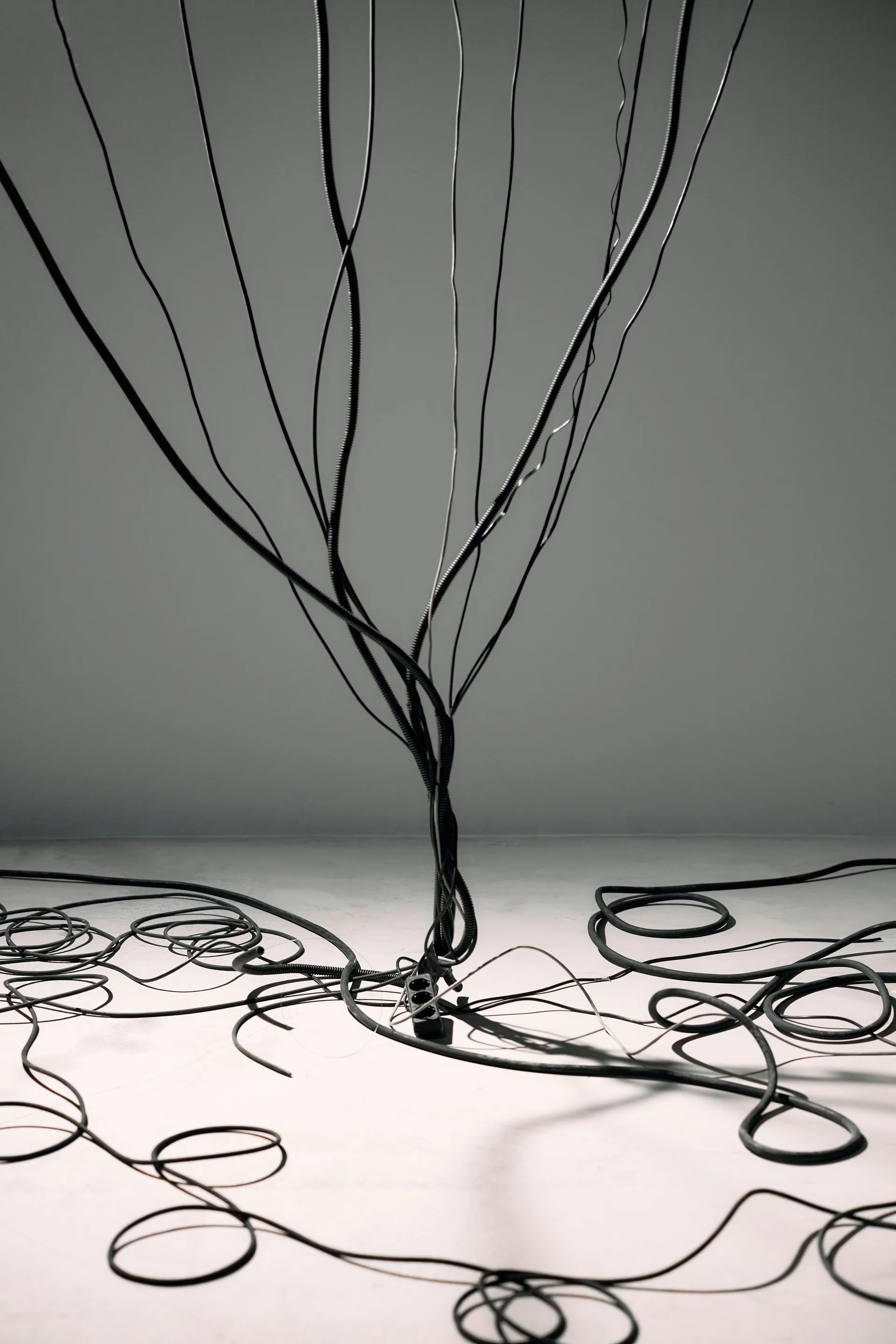 Black cables in a tangle on a plain background
