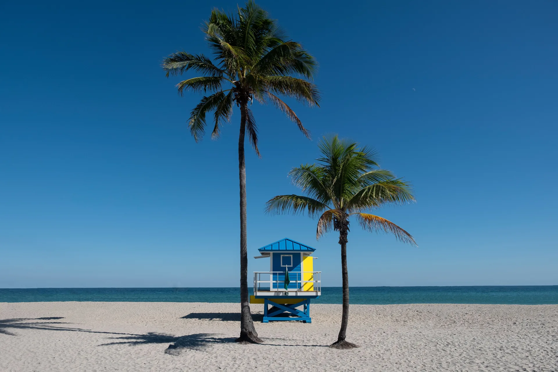 Florida beach with palm trees and a colorful lifeguard hut on a sunny day