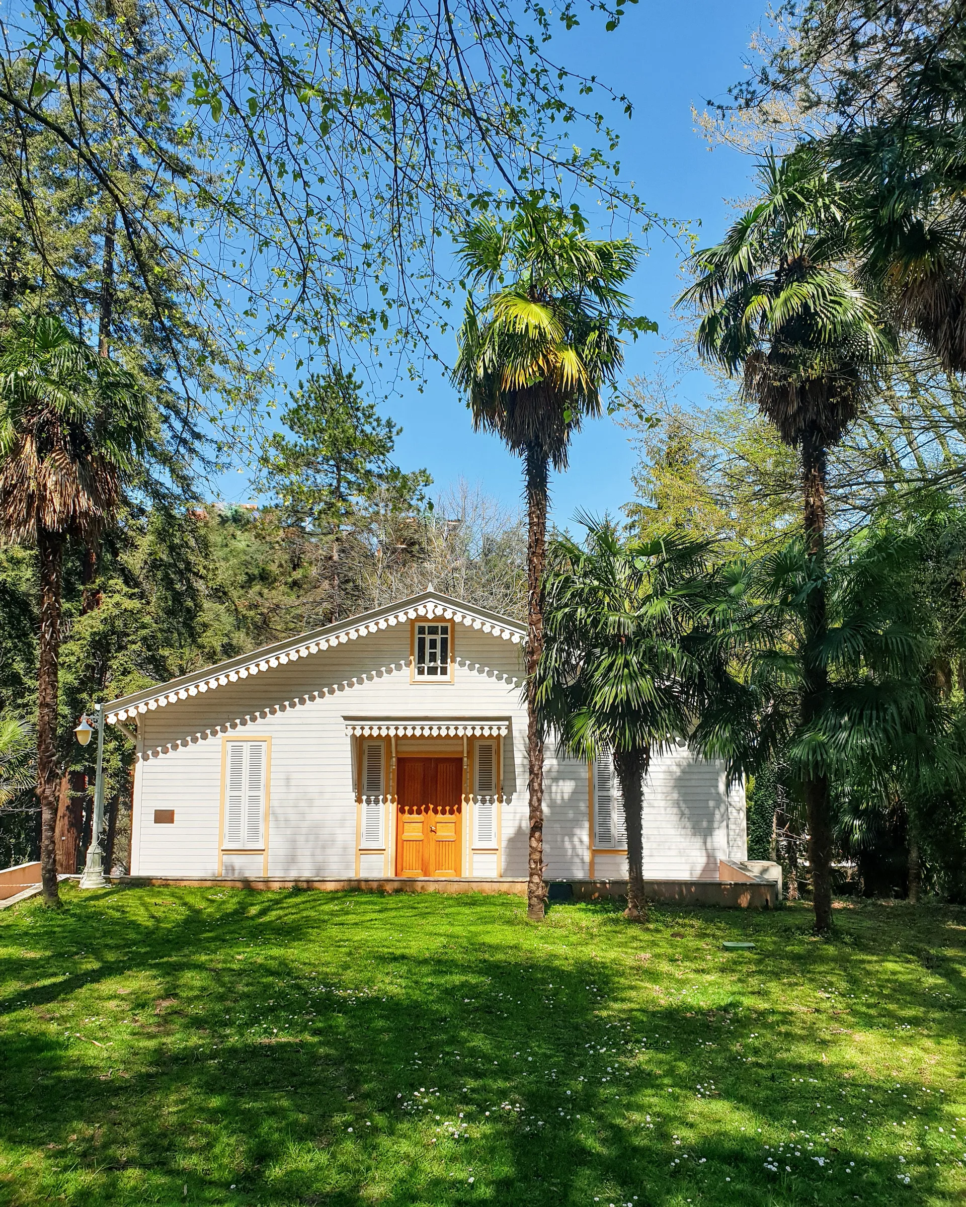 White house with lush palm trees on a sunny day